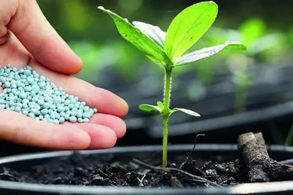 تصویر 2 از خرید کود npk جامد + قیمت فروش استثنایی